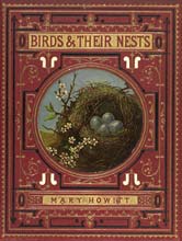 'Birds and their nests'